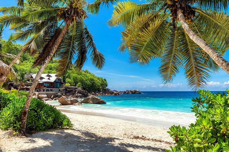 7-Day Zanzibar Luxury Escape